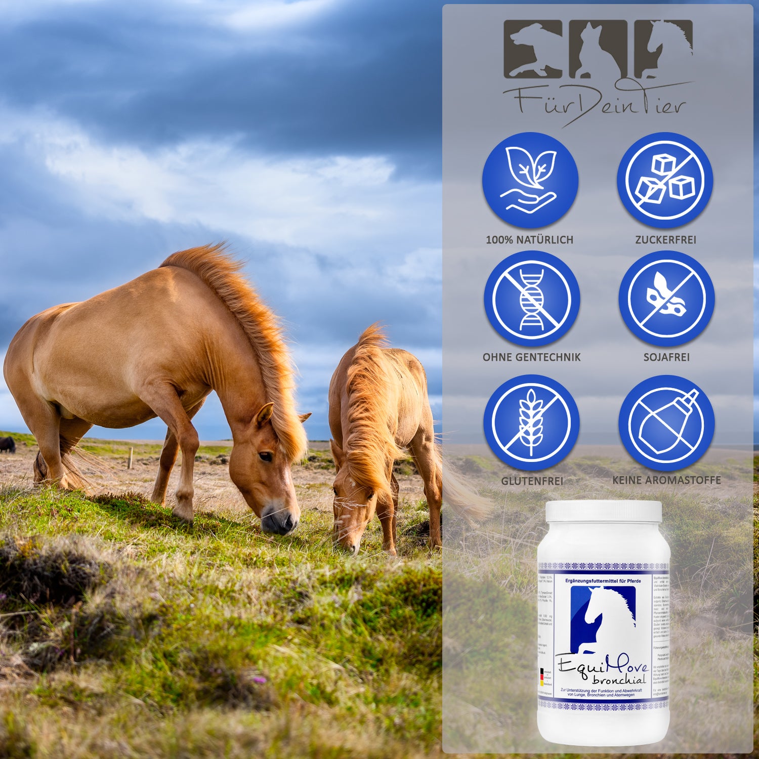 EquiMove bronchial