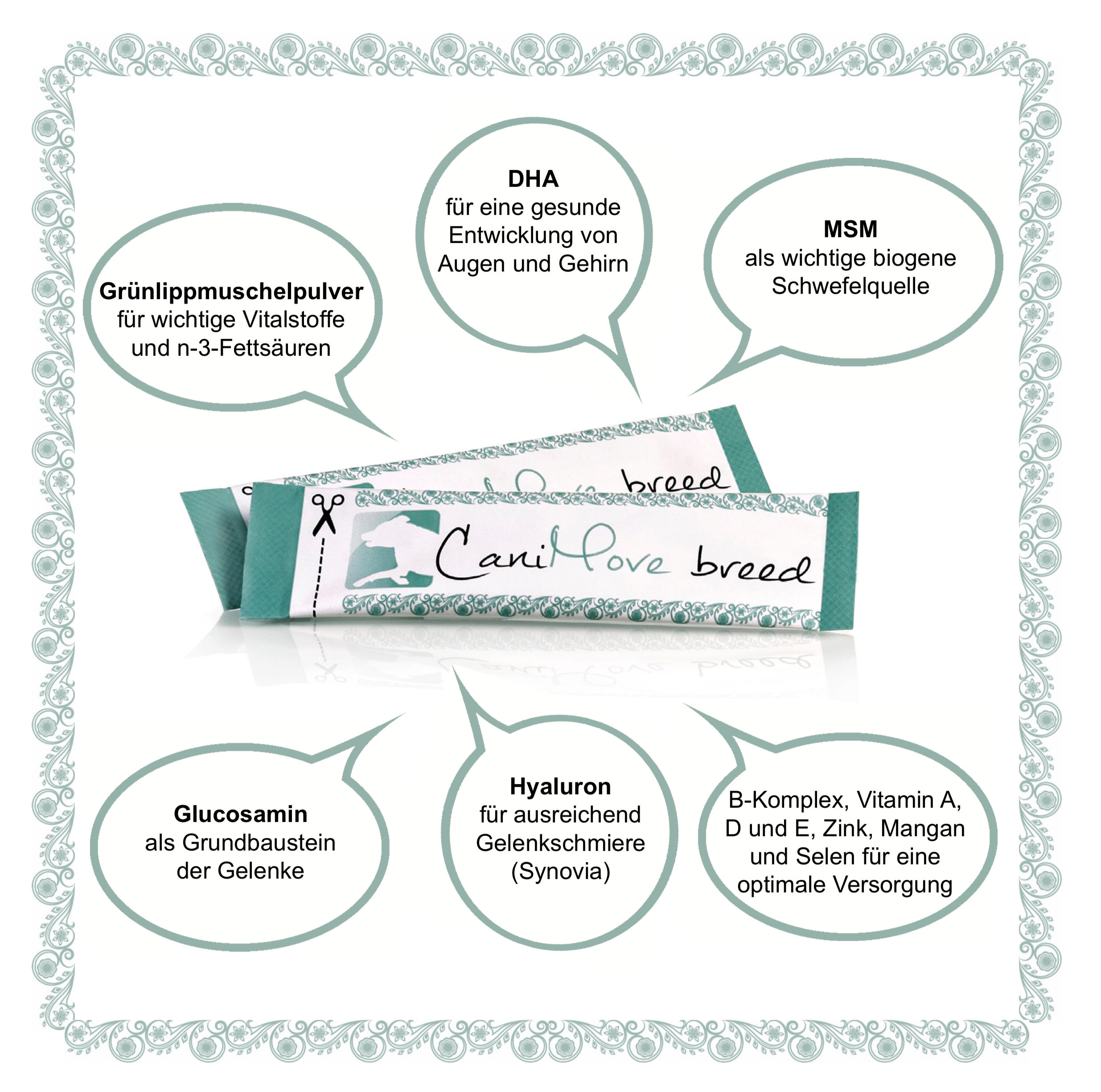CaniMove breed
