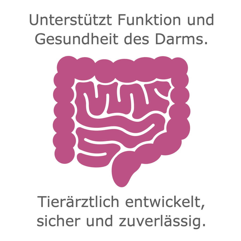 FeliMove digest