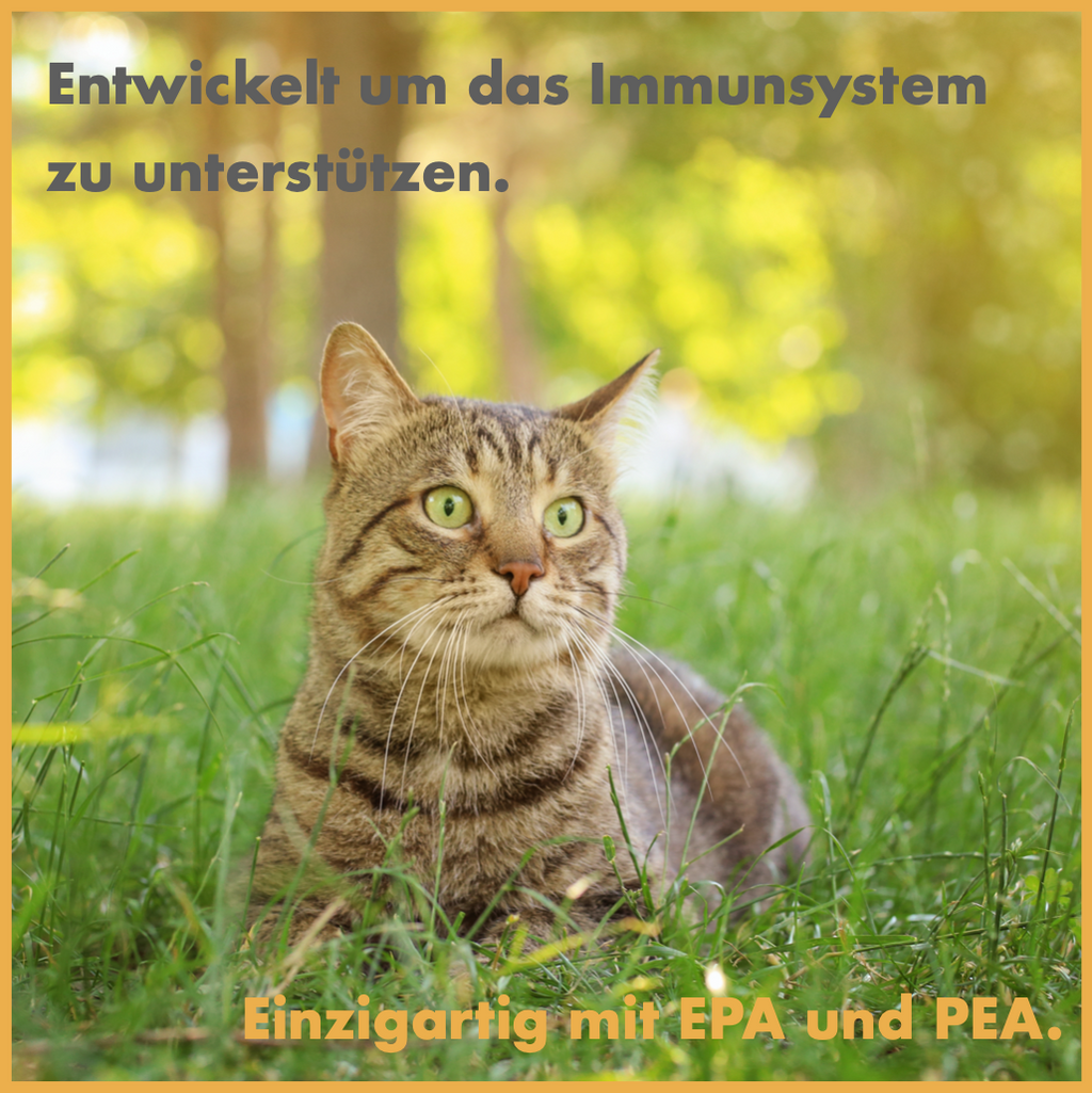 FeliMove immune