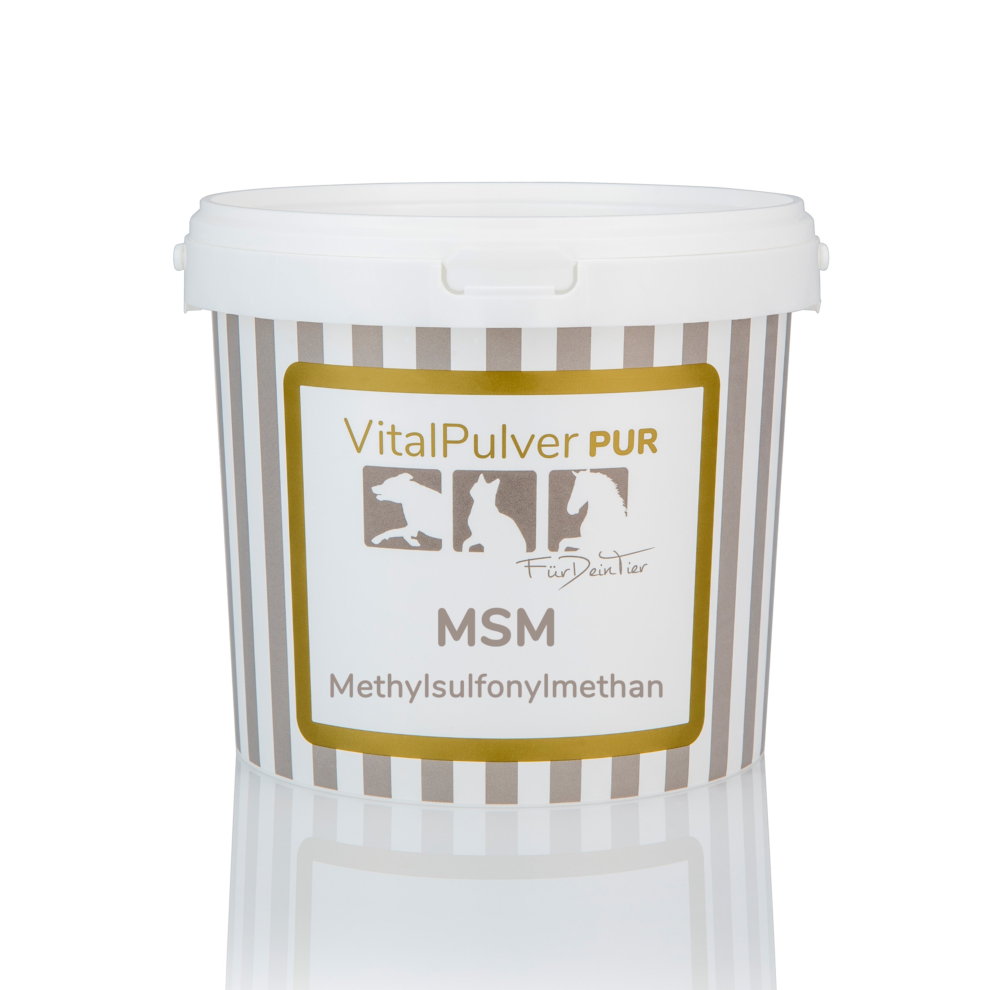 MSM Vitalpulver